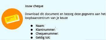 loopbaanbegeleiding cheques