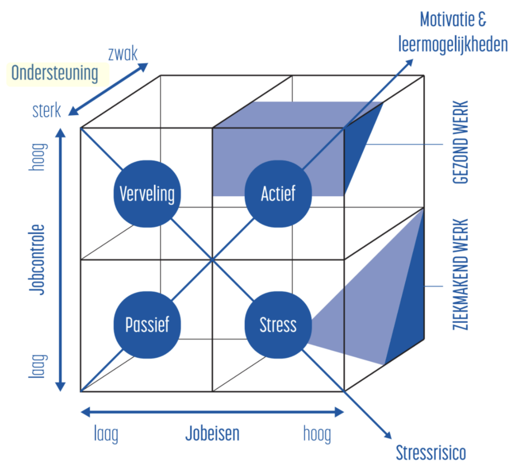 inzicht loopbaanbegeleiding