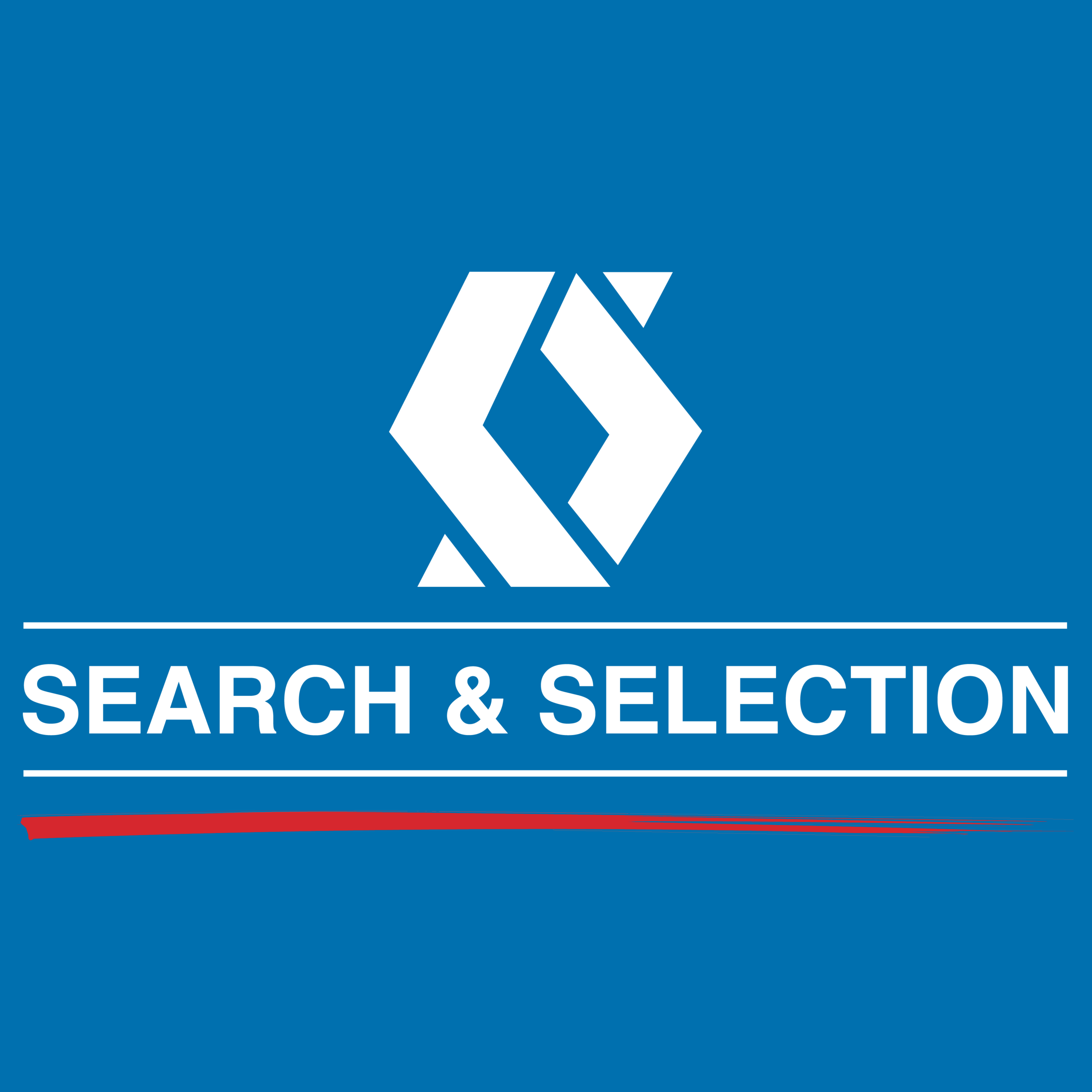 vacature consultant werving en selectie